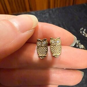 Gold Owl Stud Earrings